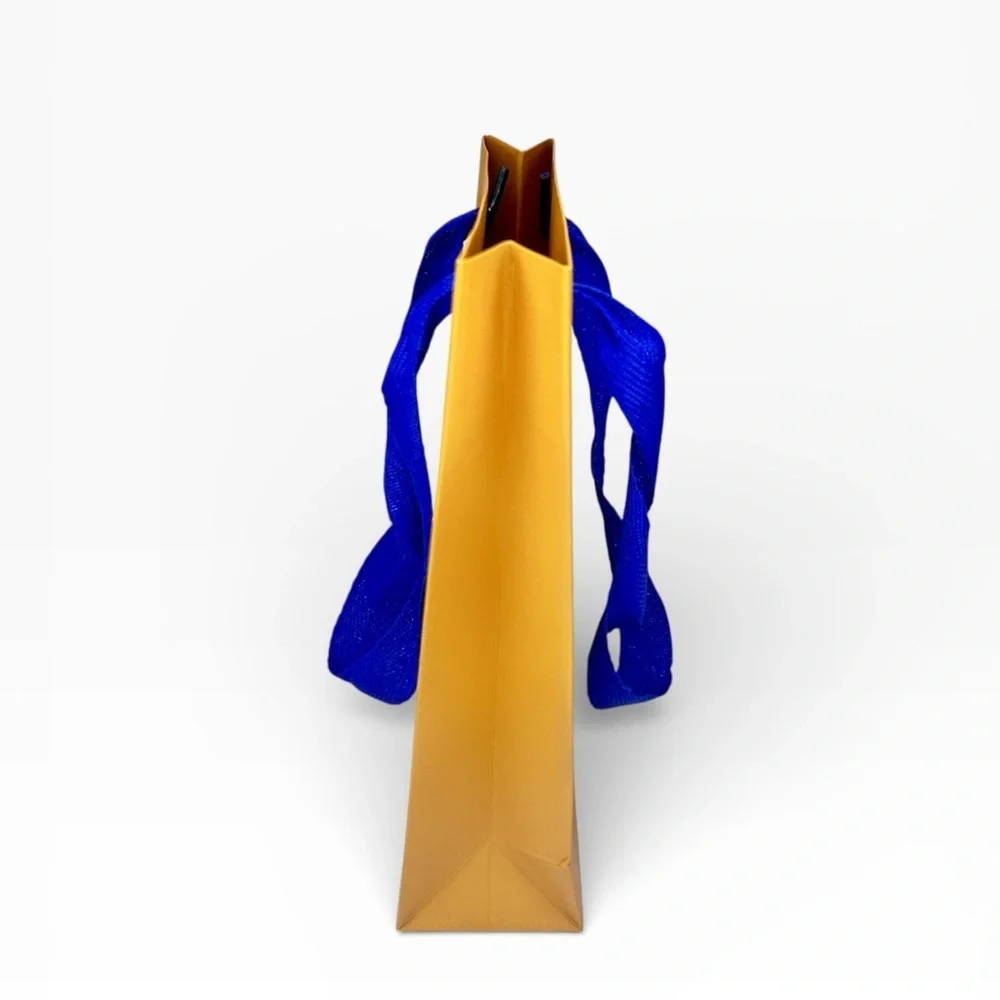 Louis Vuitton Gift Bag